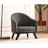 Atelier del Sofa Fotelja Leon 90x82x75cm Antracit