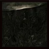 Innerwoud - Furie (LP)