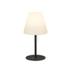 RABALUX Spoljna podna lampa E27 Lida 8658 crna
