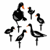 WALLXPERT Ducks