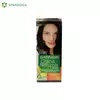 FARBA GARNIER COL.NATURALS 2.10 (12) LOREAL