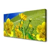 tulup.si Slika na platnu Rainbow travnik flowers narava 100x50 cm