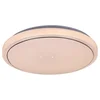 Rabalux Plafonjera Trevor2, LED 24W, D38cm