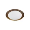 CREW ZIDNA SVJETILJKA IP40/1628lm/3000K brushed bronze
