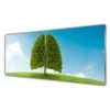 tulup.si Slika na akrilnem steklu Grass nature tree pljuča 125x50 cm 2 obešalnika