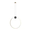 Redo 01-3107 - LED luster na sajli ATOM LED/20W/230V O 60 cm