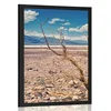 Plakat sušna pokrajina - 60x90 black
