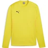 Mikica Puma teamGOA Training Sweatshirt