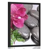 Plakat cvetoča orhideja in wellness kamni - 20x30 silver