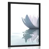 Plakat lotosov cvet v reki - 60x90 no frame