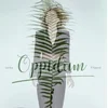 Lenka Filipová Oppidum (Vinyl LP)