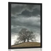 Plakat samotna drevesa - 30x45 no frame