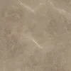 Elegant Taupe 60x60