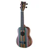 VGS Patea concert ukulele
