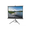 Lexin TD8080M Platno za projektor sa tripodom, 203x203cm