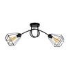 Plafonski luster DIAMENT 2xE27/60W/230V