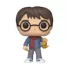 FUNKO POP HARRY POTTER: HOLIDAY - HARRY POTTER
