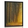 Plakat pot v gozdu - 40x60 no frame