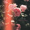Las Kellies - Friends And Lovers (LP)