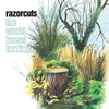 Razorcuts - The World Keeps Turning (Deluxe Edition) (2 LP)
