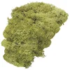 Knorr Prandell 216694420 Okraski Lime Green 50 g 1