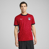 Mens Puma Egypt 2025 Home Jersey, Red, Size 3XL, Clothing