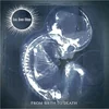 Sun Dont Shine - From Birth To Death (Blue/Black Splatter Coloured) (LP)