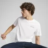 Mens Puma Graphics 3 Circles T-Shirt, White, Size L, Clothing
