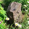 Taidekivi Baštenski kamen, Bež, H50 cm, O35 cm