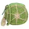Zebra Trends Fruities W01549 Lime green