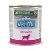 Vet Life veterinarska dijeta dog STRUVITE MANAGEMENT 300g