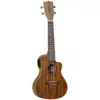 Tanglewood Tiare TWT 21 E Ukulele