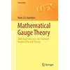 Mathematical Gauge Theory