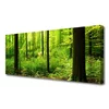 tulup.si Slika na platnu Green forest trees narava 120x60 cm
