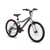 Galaxy Bicikl galaxy festina 24/18 siva/crna/crvena mat ( 650242 )