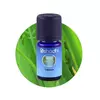 Oshadhi kalamus iđirot (acorus calamus) eterično ulje (10ml), 1238-10
