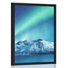 Plakat arktični severni sij - 60x90 black