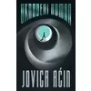 Ukradeni roman