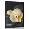 Plakat Zen kamni z rumeno orhidejo - 20x30 silver