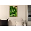 Venture Design Plakat 21x30 cm Zelen