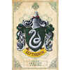Veliki plakat Harry Potter - Spolzgad - 91,5 × 61 cm