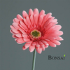 Umetna gerbera roza 56 cm - 50 do 75 cm