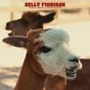 Kelly Finnigan - B-Sides, Singles & Forgotten Gems (LP)