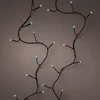 Novogodišnja LED rasveta Twinkle 300cm-40L Lumineo 494108