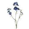 Delphinium 83 cm modre barve - modra - 76 do 100 cm