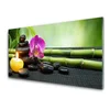 tulup.si Slika na steklu Flower bamboo zen spa 120x60 cm 2 obešalnika
