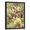 Plakat gozd z napisom Freedom - 20x30 black
