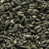 Črna sončnica - 1 kg
