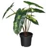 FEJKA Veštačka biljka u saksiji, unutra/spolja filodendron/zelena/bela, 15 cm