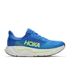 Hoka Arahi 9